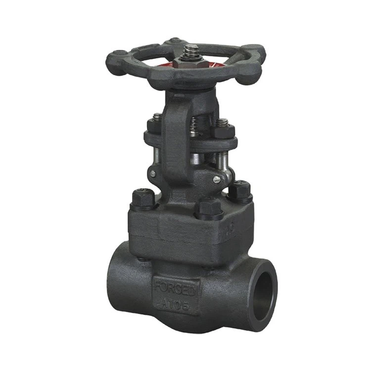 API602 kovani ventil vrata